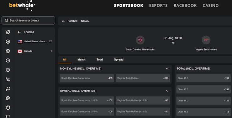 A snapshot of BetWhale, one of our top rated South Carolina sports betting sites.